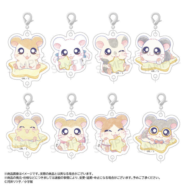 『とっとこハム太郎』~Twinkle Dreams~つながるアクリルチャーム【BOX】